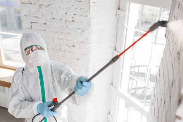 Best Residential Mold Inspection & Testing  in Denver, CO