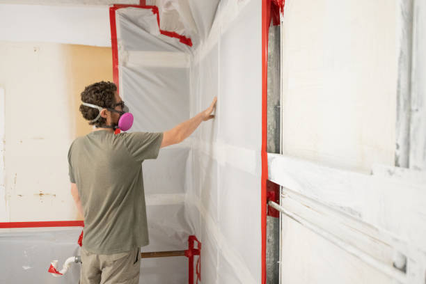 Best Industrial Mold Remediation  in Denver, CO
