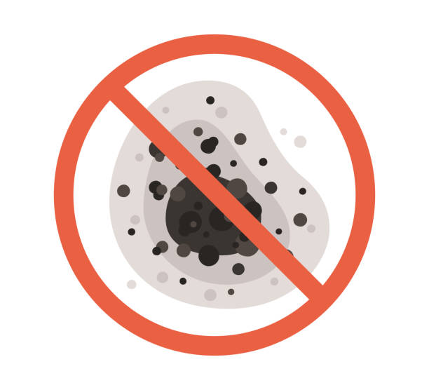 Best Mold Odor Removal Services  in Denver, CO