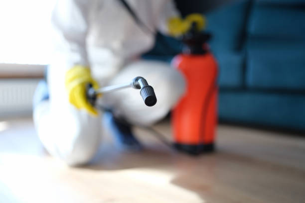 Best Mold Removal for HVAC Installations  in Denver, CO